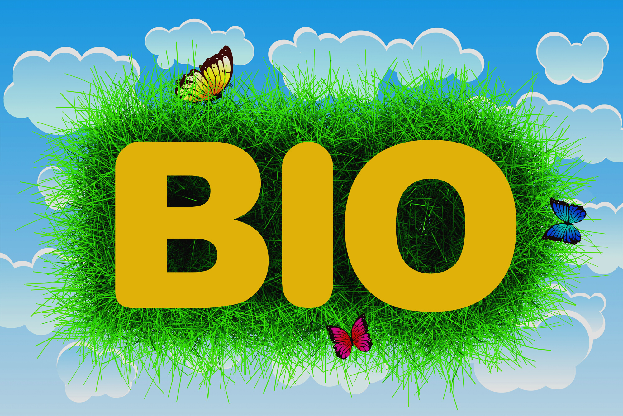 Bio