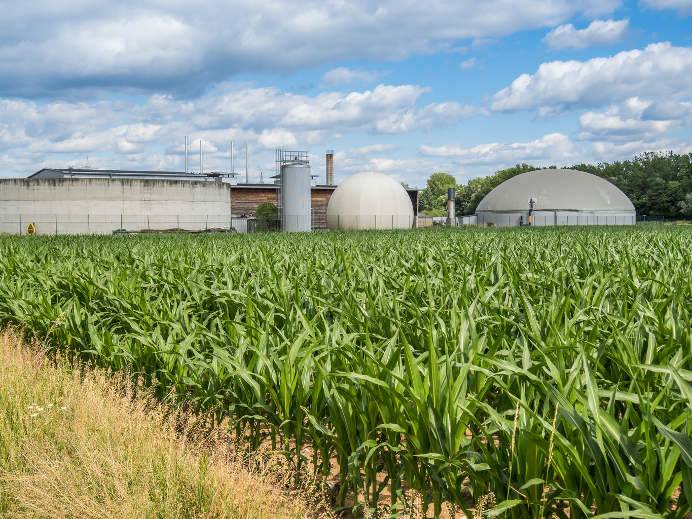 biogas production, biogas plant, bio power