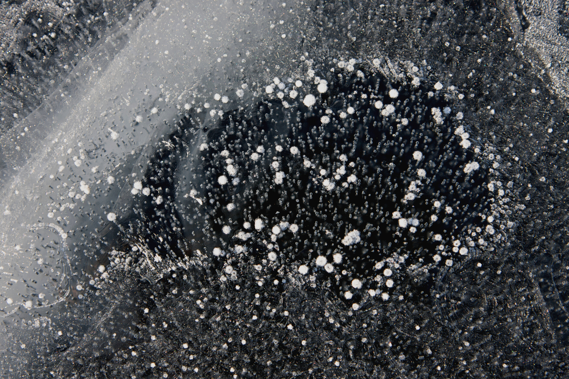 Methane bubbles in lake ice