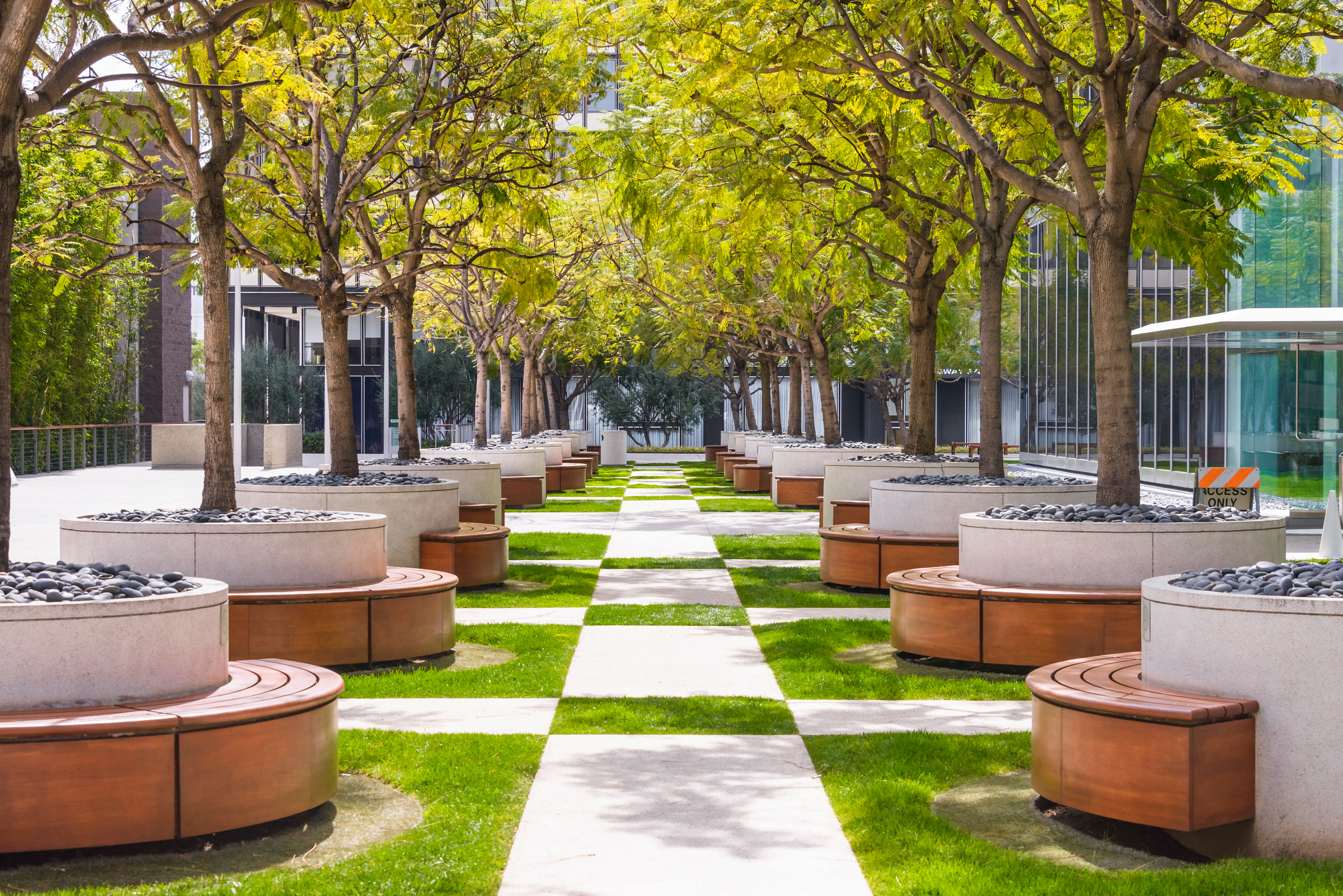 Rows of wooden benches around potted trees in office building setting